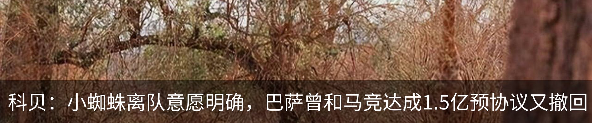 资讯中心